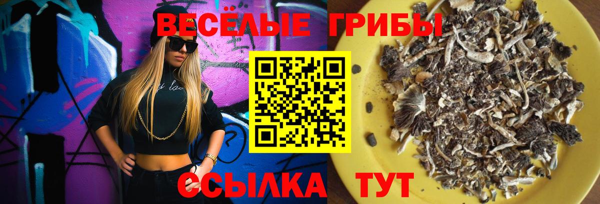 Пыть-Ях  Псилоцибиновые грибы MAGIC MUSHROOMS  Вход с VPN 